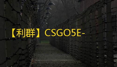 【利群】CSGO5E-辅助