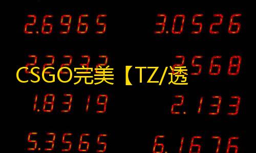 CSGO完美【TZ/透饰/梓喵】辅助